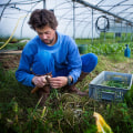 The Key Techniques Used in Sustainable Farming