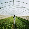 The Benefits of Sustainable Agriculture for Farmers