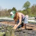 The Benefits and Controversies of Sustainable Farming