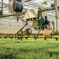 Top Commercial Farming Examples Leading the Way in Sustainability