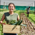 The Advantages of Sustainable Farming