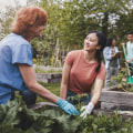 The Three Pillars of Sustainable Agriculture: A Comprehensive Guide