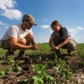 The Most Sustainable Agriculture Practices