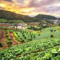 The Advantages of Sustainable Agriculture: A Comprehensive Guide