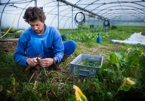 The Key Techniques Used in Sustainable Farming