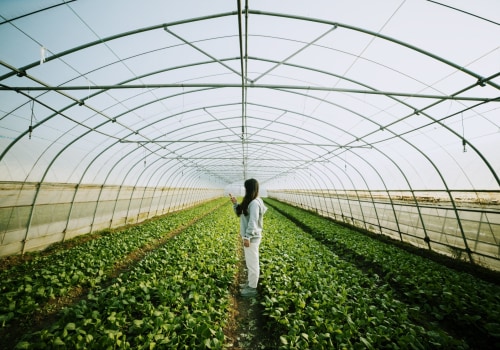 The Benefits of Sustainable Agriculture for Farmers