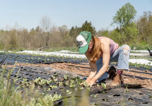 The Benefits and Controversies of Sustainable Farming