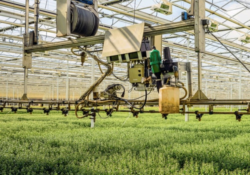 Top Commercial Farming Examples Leading the Way in Sustainability