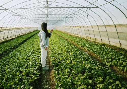 Understanding Sustainable Agriculture: A Comprehensive Guide