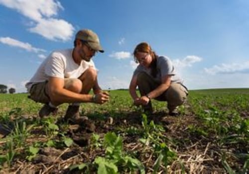 The Importance of Sustainable Agriculture: A Farmer's Perspective