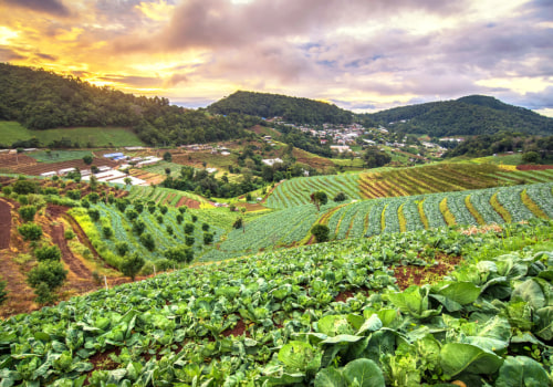 The Advantages of Sustainable Agriculture: A Comprehensive Guide