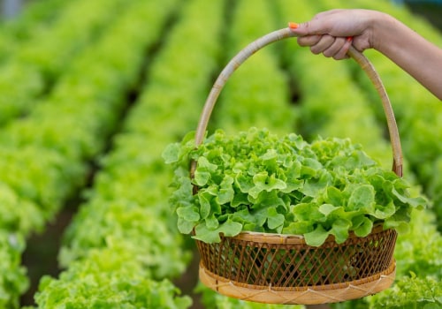 The Hidden Disadvantages of Sustainable Farming