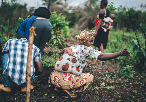 Is sustainable farming safer?