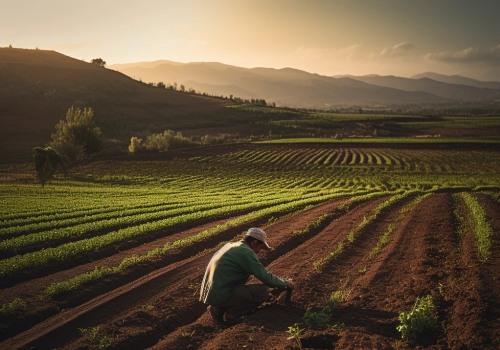 How Intensive Agriculture Examples Contribute to the Future of Sustainable Farming